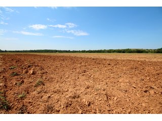Property photo 19 - SIGNIFICANT LAND & PRODUCING MINERALS SEALED BID AUCTION - 233+/- ACRE FARM IN 1 TRACT - 6 MINERAL TRACTS IN GARVIN, MCCLAIN, GRADY & ROGER MILLS COUNTIES, OKLAHOMA